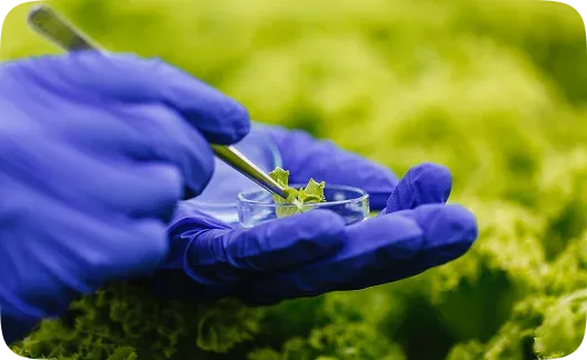 LEED ASTM Phase 1 & Phase 2 Assessments 